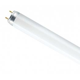 Эл. лампа  L18W/640 Osram